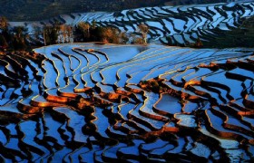 7 Days Kunming and Yuanyang Rice Terraces Tour