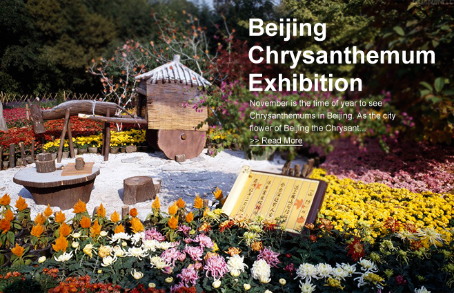 Beijing Chrysanthemum Exhibition 