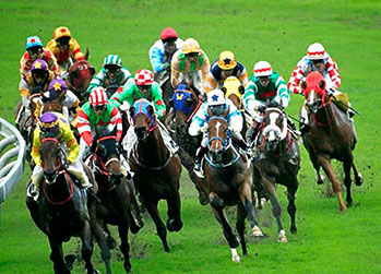 Chinese New Year Horse Race