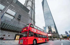 Private Sightseeing Bus 1