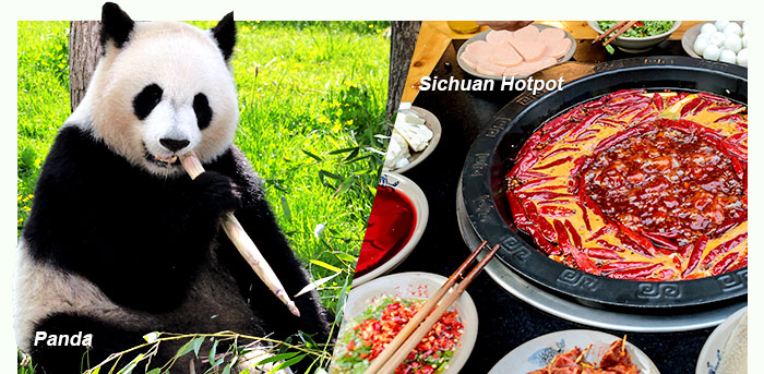 Chengdu-Panda and Sichuan Hotpot