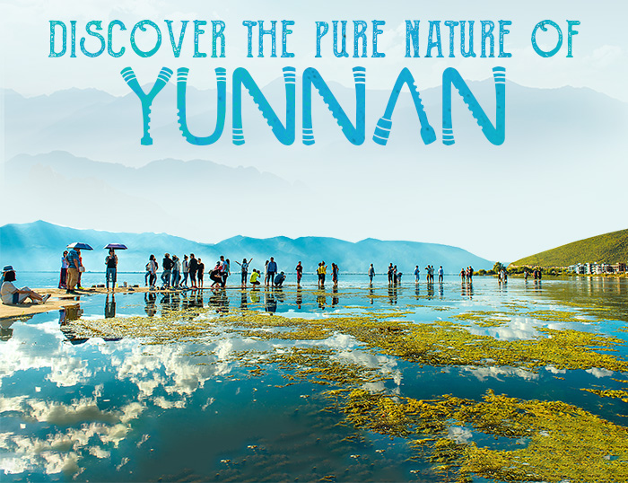Discover the Pure Nature of Yunnan