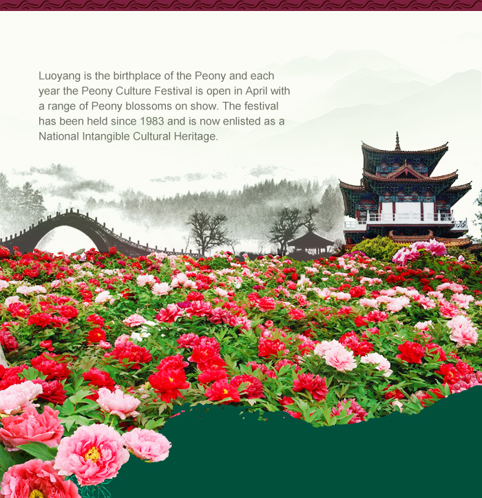 5 Days Xian and Luoyang Peony Blossom Tour